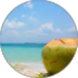 Review From Steven Wu