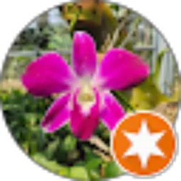 Review From Nesia Yosefin