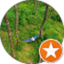 Review From N Hendrik