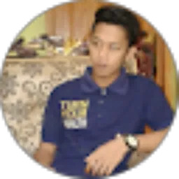 Review From Aladin putra