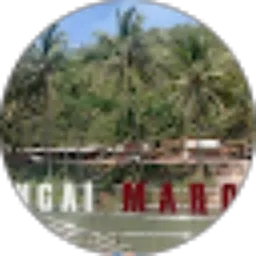 Review From WISATA SUNGAI MARON