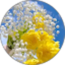 Review From Blue Sky