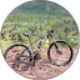 Review From Zen Official