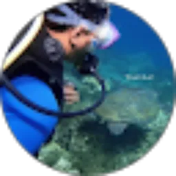 Review From F A