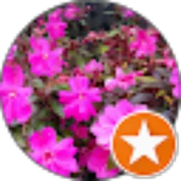 Review From JANSON MARBUN