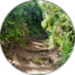 Review From Nature World Tube Channel