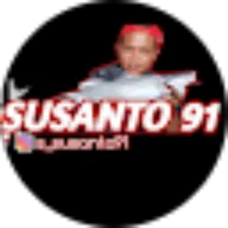 Review From Susanto 91