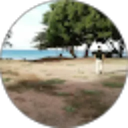 Review From Rj77
