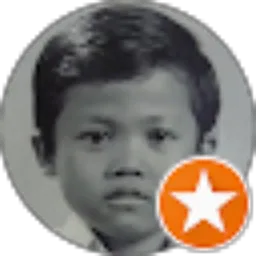 Review From Donny Noerhadiono