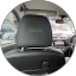 Review From Green Ville
