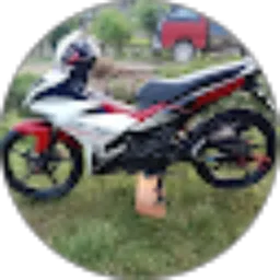 Review From Ancha1 Polman