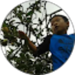 Review From Imam Dedi J