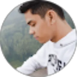 Review From Didi Supriyadi