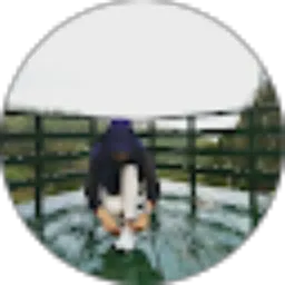 Review From Sim Simmy