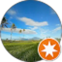 Review From dudin j