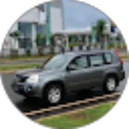 Review From Farren Mayhaptani