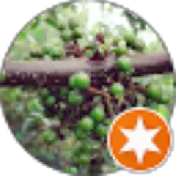 Review From Anda Liman