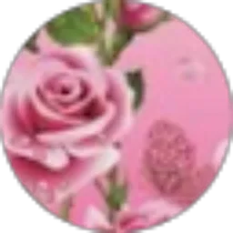 Review From Rabiatul