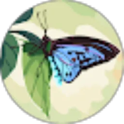 Review From ekoabdulaziz96