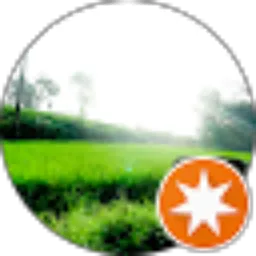 Review From Okti