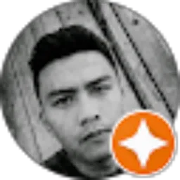 Review From Joko Pitono