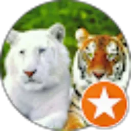 Review From Tama