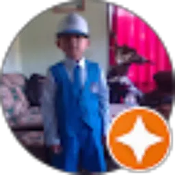 Review From Arivin ALUCARD AUTO WINS