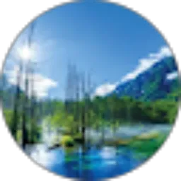 Review From aldo fabian
