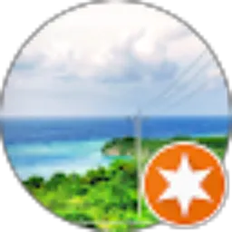 Review From La Ode Nasriadin