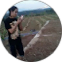 Review From Joko Surya