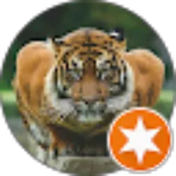 Review From Yuwei FANG