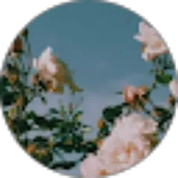 Review From dita audina