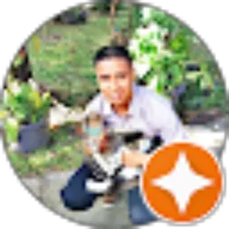 Review From ivan putra widyatama hukom