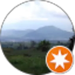 Review From Tri Waluyo