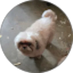 Review From sinHao