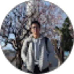 Review From Dominico Alvin