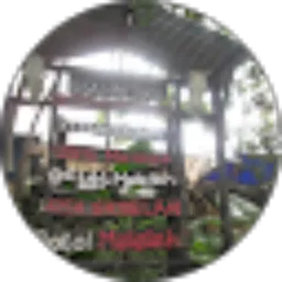 Review From Ade Agus Pradana