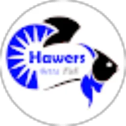 Review From Hawers Betta Fish
