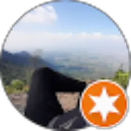 Review From silentrider mv