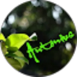 Review From Antonius Hargo