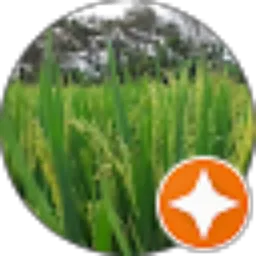 Review From Ukik Norcahyo