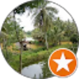 Review From Nelson Doang