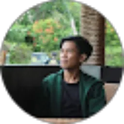 Review From Ayip Chips