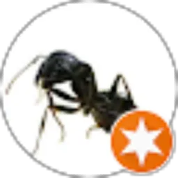 Review From RIQI78