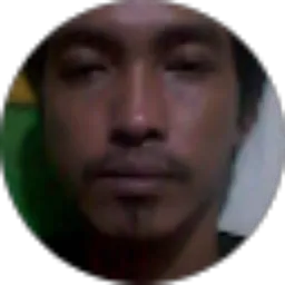 Review From Heri Sulistiyono