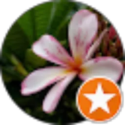 Review From sopie mardayani