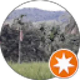 Review From Roni Jams