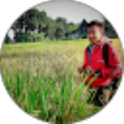 Review From Yogi Boistaria Loky