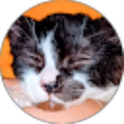 Review From Miuuu Channel