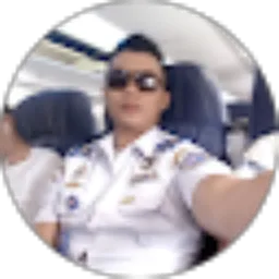 Review From Andy Harimawan